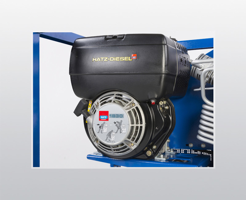 Diesel engine for use in any location