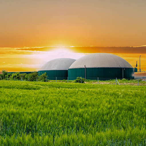 Biogasanlage bei Sonnenuntergang mit Maisfeld