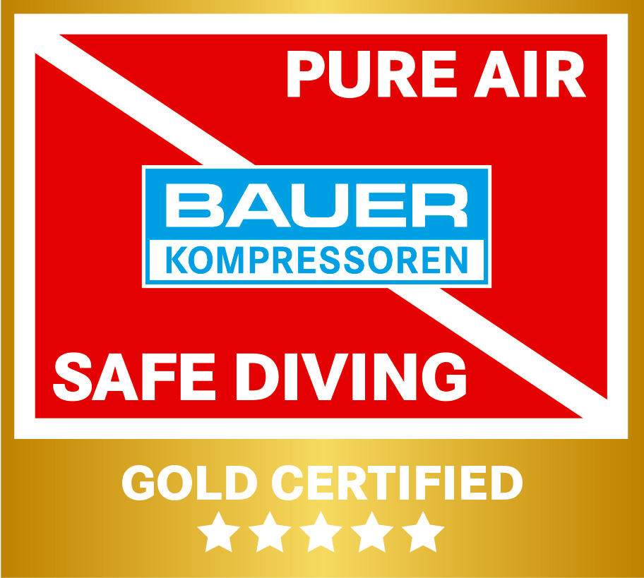 PA BA Gold Logo 4c
