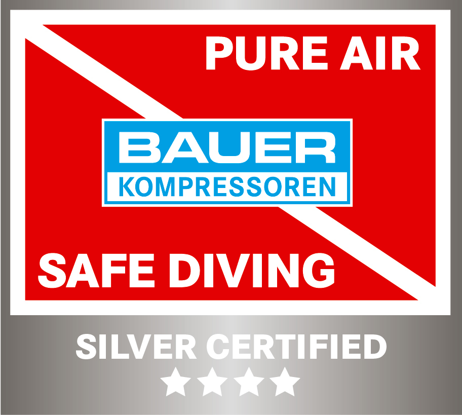 PA BA Silber Logo